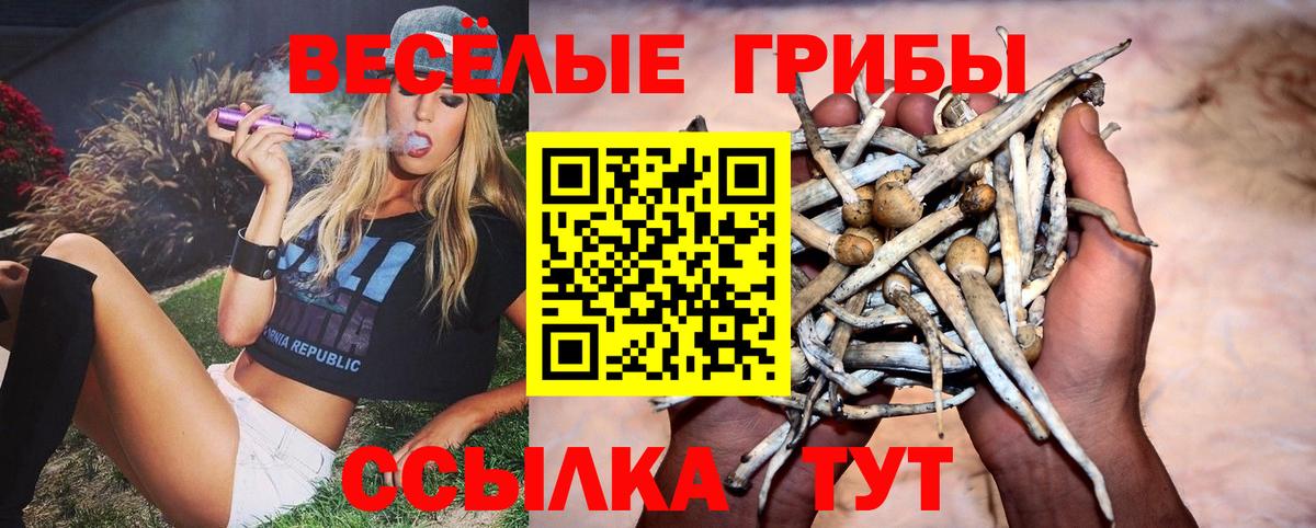 Псилоцибиновые грибы ЛСД Татарск